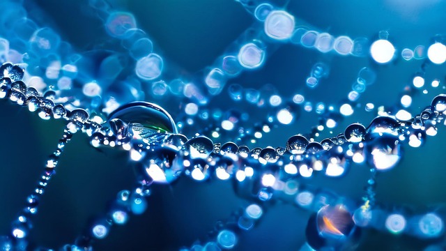 Free ai generated water droplets spiderweb illustration