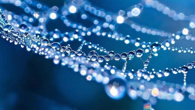 Free ai generated water droplets spiderweb illustration