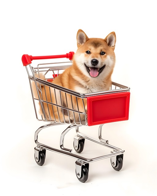 Ai Generat, Câine, Shiba, Cart