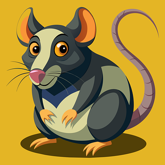 Ai Gerado, Rato, Rato Grande, Bonitinho