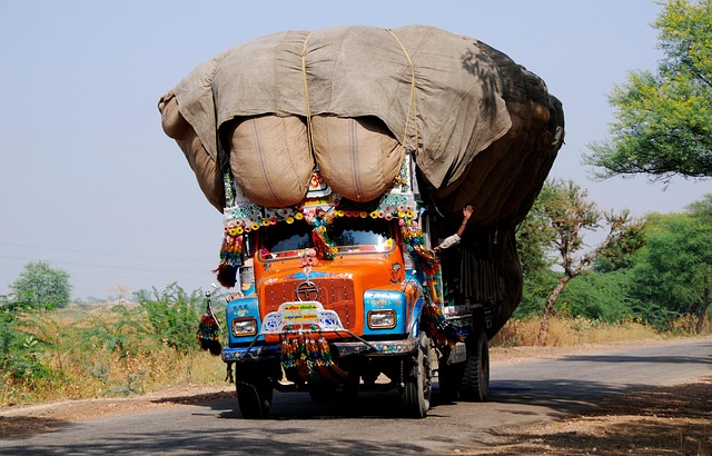 Indien, Bunt, Lkw, Transport, Fahrzeug