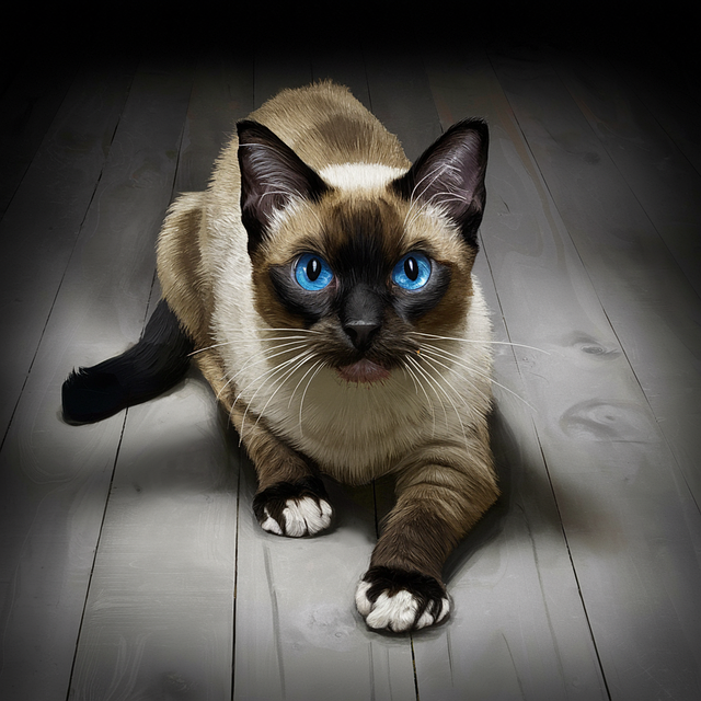 Free cat feline animal illustration