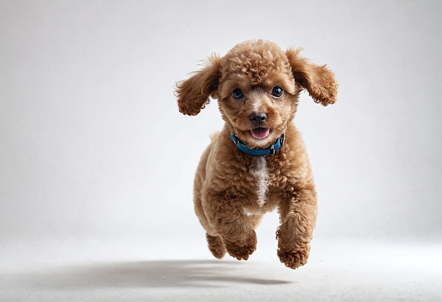 Free Ai Generated Dog illustration and picture
