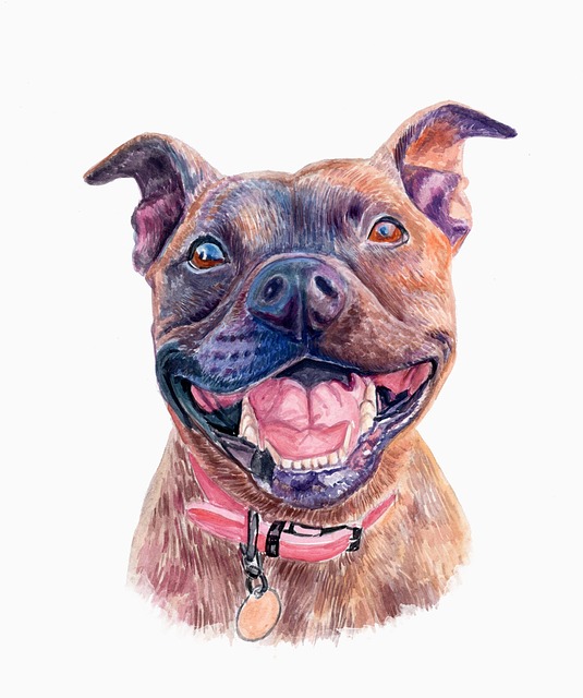 Individuelles Hundeportrait, Hund