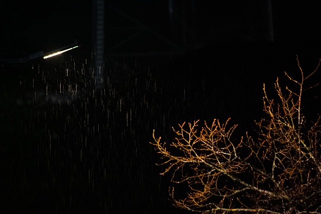 Free Night Rain photo and picture