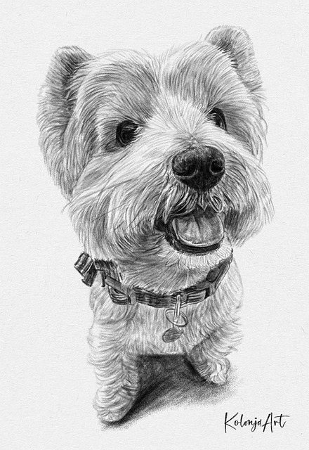 Individuelles Hundeportrait