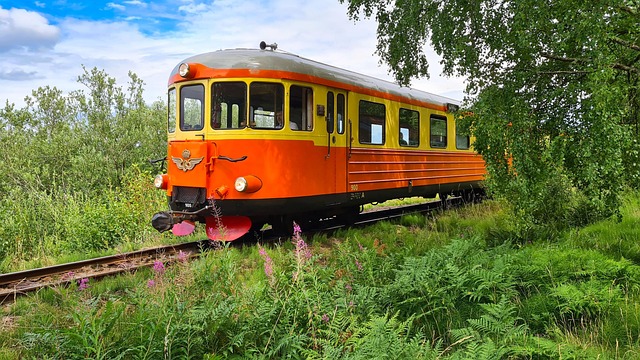 Schmalspurbahn, Historisch, Schweden