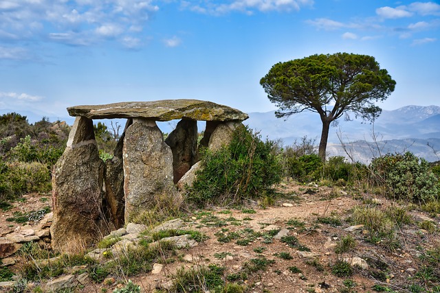 Free Dolmen Menhir photo and picture