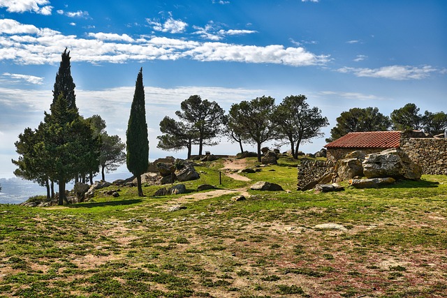 Free Dolmen Menhir photo and picture