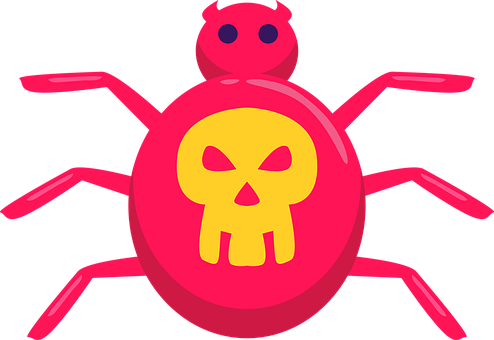 Araña, Cráneo