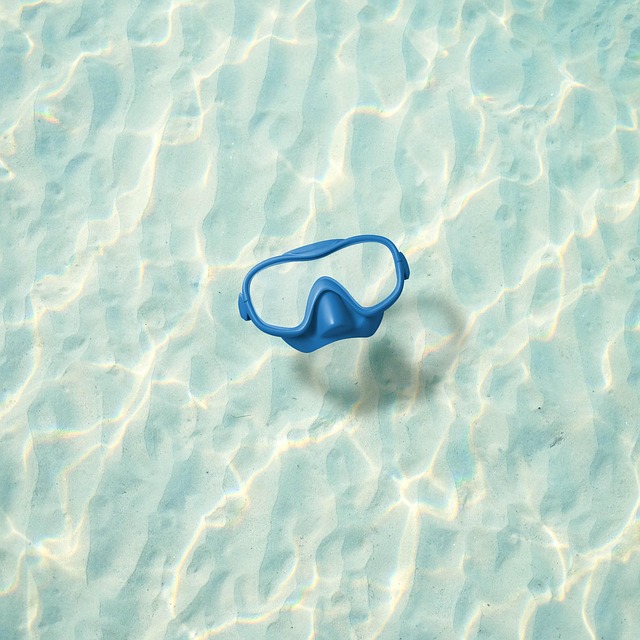 Google, Brille, Wasser, Natur