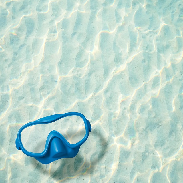 Google, Natur, Brille, Wasser