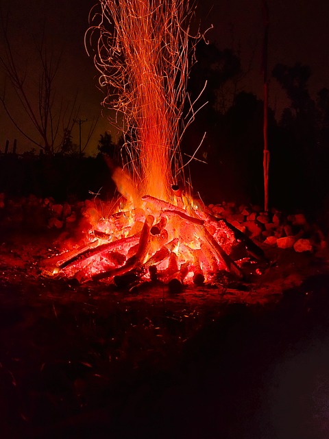 Free Fire Flame photo and picture