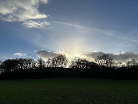 Free Nature Sunny photo and picture
