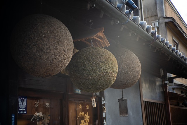 Free Japan Trip photo and picture