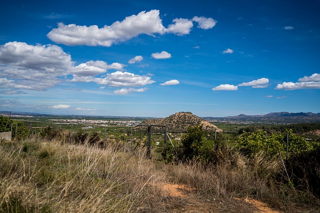 Natur, Farn, Liebling, Landschaft, Sonne