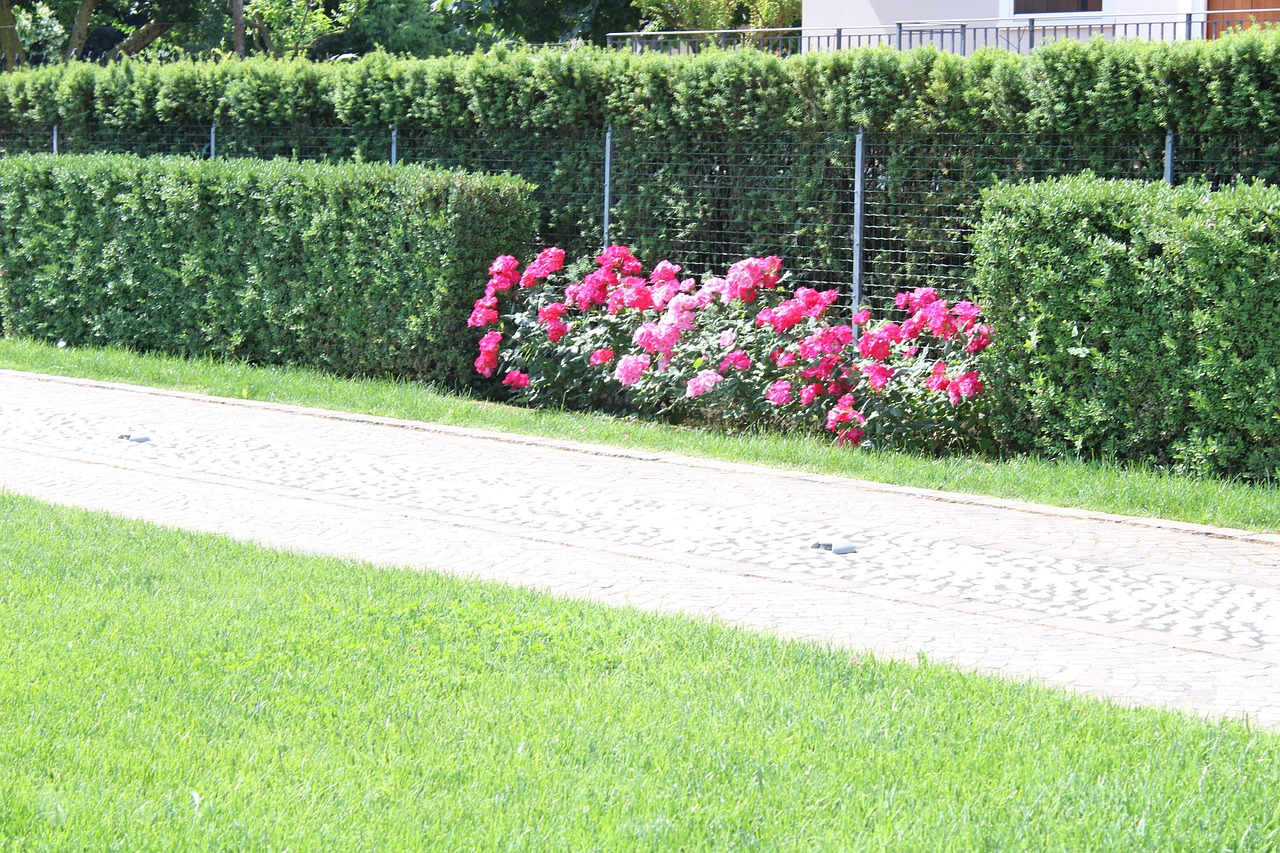 Landscape Flowers Bloom Free Photo On Pixabay Pixabay