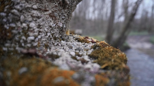 Dia Da Terra, Natureza, Ao Ar Livre