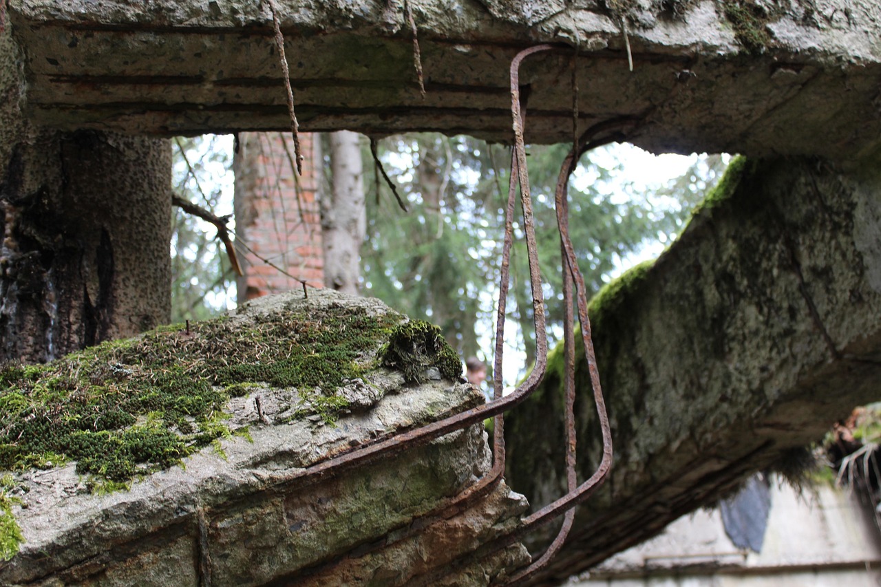 Pforphoto Abandonado Lugar Perdido Foto gratuita no Pixabay Pixabay