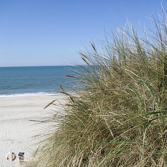 Playa, Arena, Mar, Dunas De Arena, Cielo