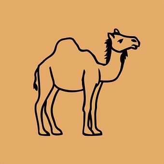 Free Camel Desert photo and picture