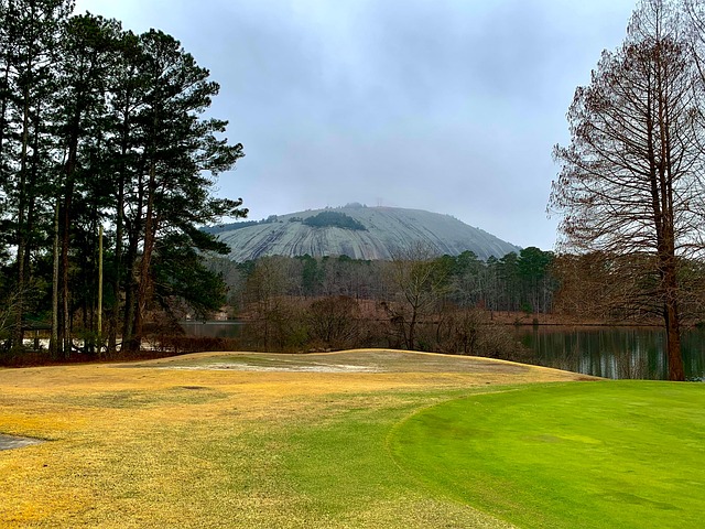 Free Landscape Mountain photo and picture