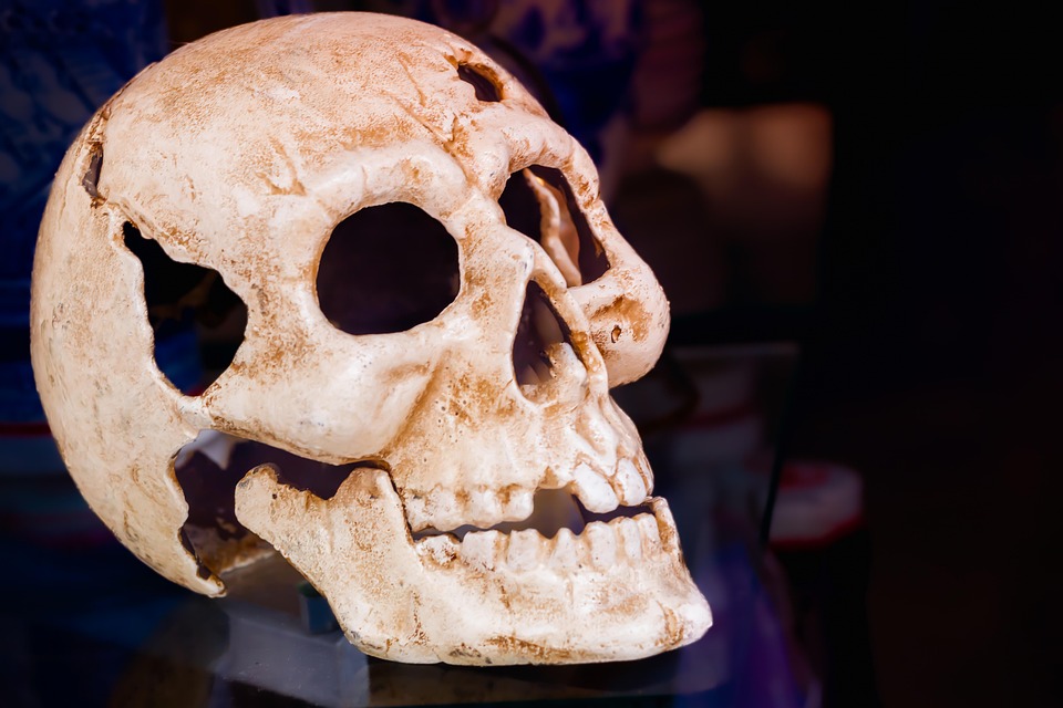 Bone Health in Infants: Insights on HIV Medication Exposure and Effects - News Directory 3