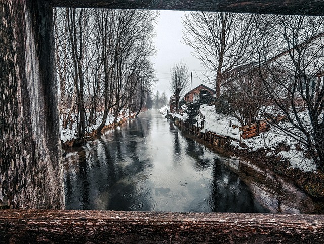 Free Flow Nature photo and picture
