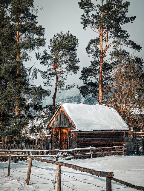 Free Hut Snow photo and picture