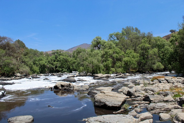 Fluss Natur Landschaft - Kostenloses Foto auf Pixabay - Pixabay