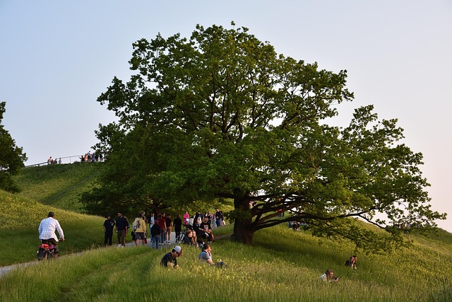 Free Park Nature photo and picture