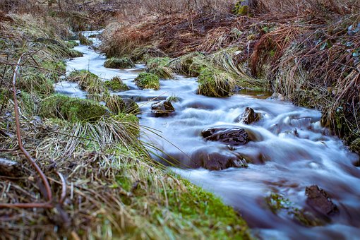 Free Flow Bach photo and picture