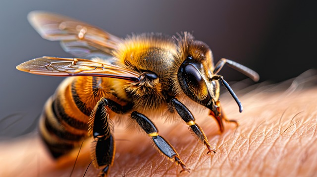 Free Ai Generated Bee illustration and picture