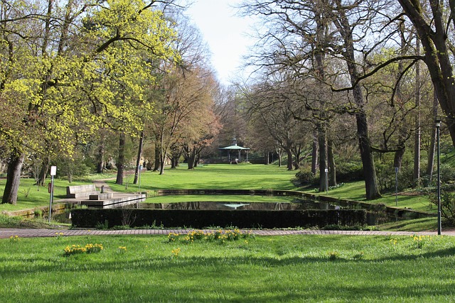 Free Park Castle Park photo and picture