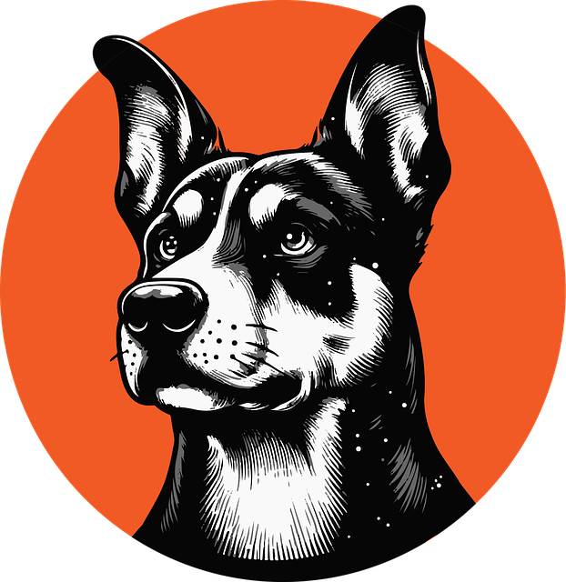 Hund, Hundehvalp, Lykkelig, Natur