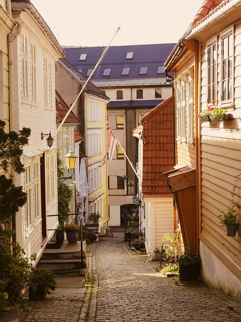 Free Norway Historic Street photo and picture