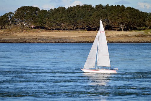 Båd, Hav, Sejlbåd, Natur, Regatta, Vand