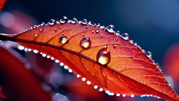 Free Ai Generated Autumn illustration and picture