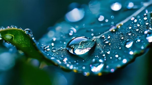 Free Raindrop Glistening illustration and picture