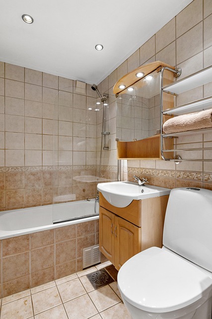 Cuarto De Baño, Casa, Departamento