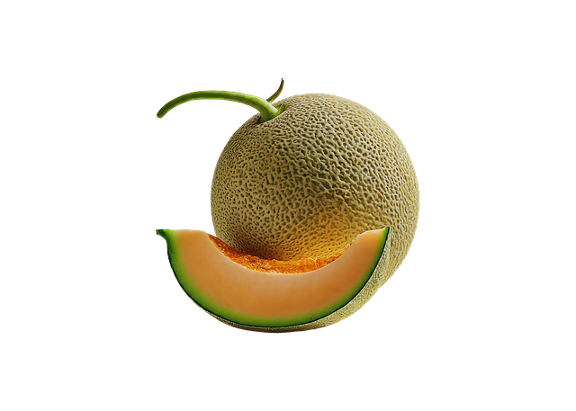 Free ai generated melon cantaloupe illustration