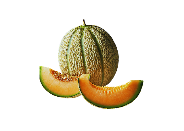 Free ai generated melon cantaloupe illustration