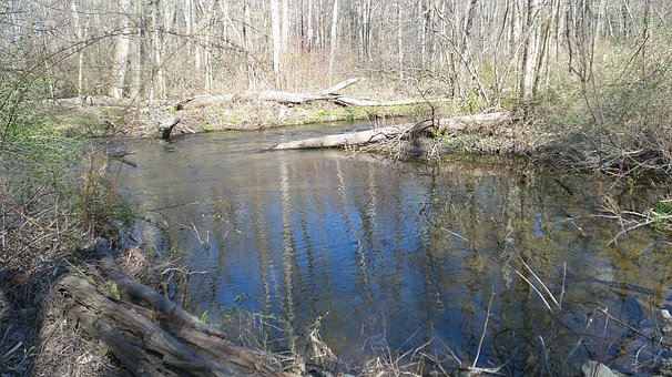 Free Lake River illustration and picture