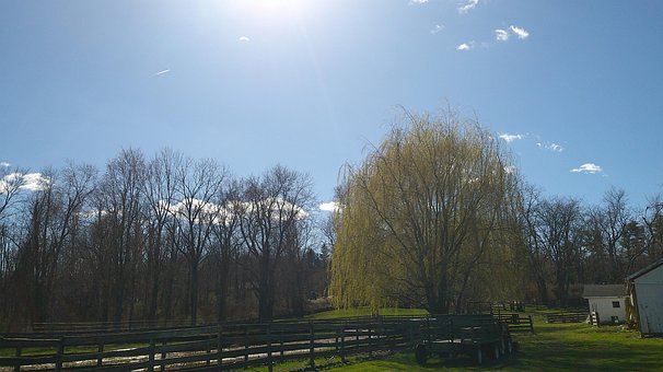 Free Farm Nature illustration and picture