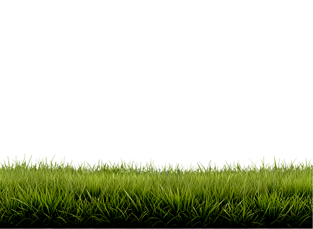 Free ai generated prairie grass illustration