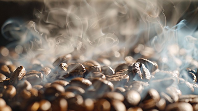 Free coffee bean roasted illustration