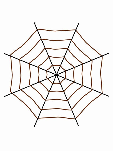 Web, Cachorro, Araña, Telaraña, Saltar