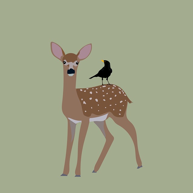 Free deer bird blackbird illustration