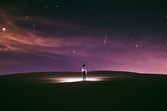 Free Le Petit Prince The Little Prince photo and picture