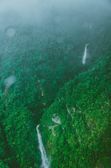 Free Vietnam Nature photo and picture